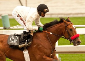 could-jockey-cams-increase-youth-interest-in-horse-racing