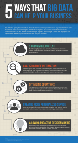 Help Systems Big Data Infographic-72dpi